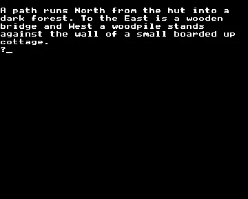 Four Wands, The - Part 1 (1988)(D.W. Gore) screen shot game playing